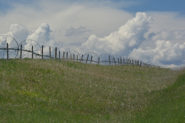 along highway 395